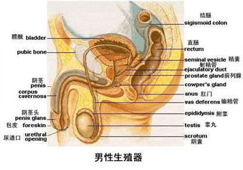 故意不射精容易引发哪些并发症？